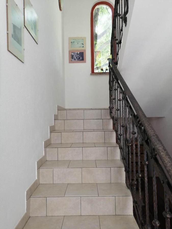 Center Blue Sky House Guest house *