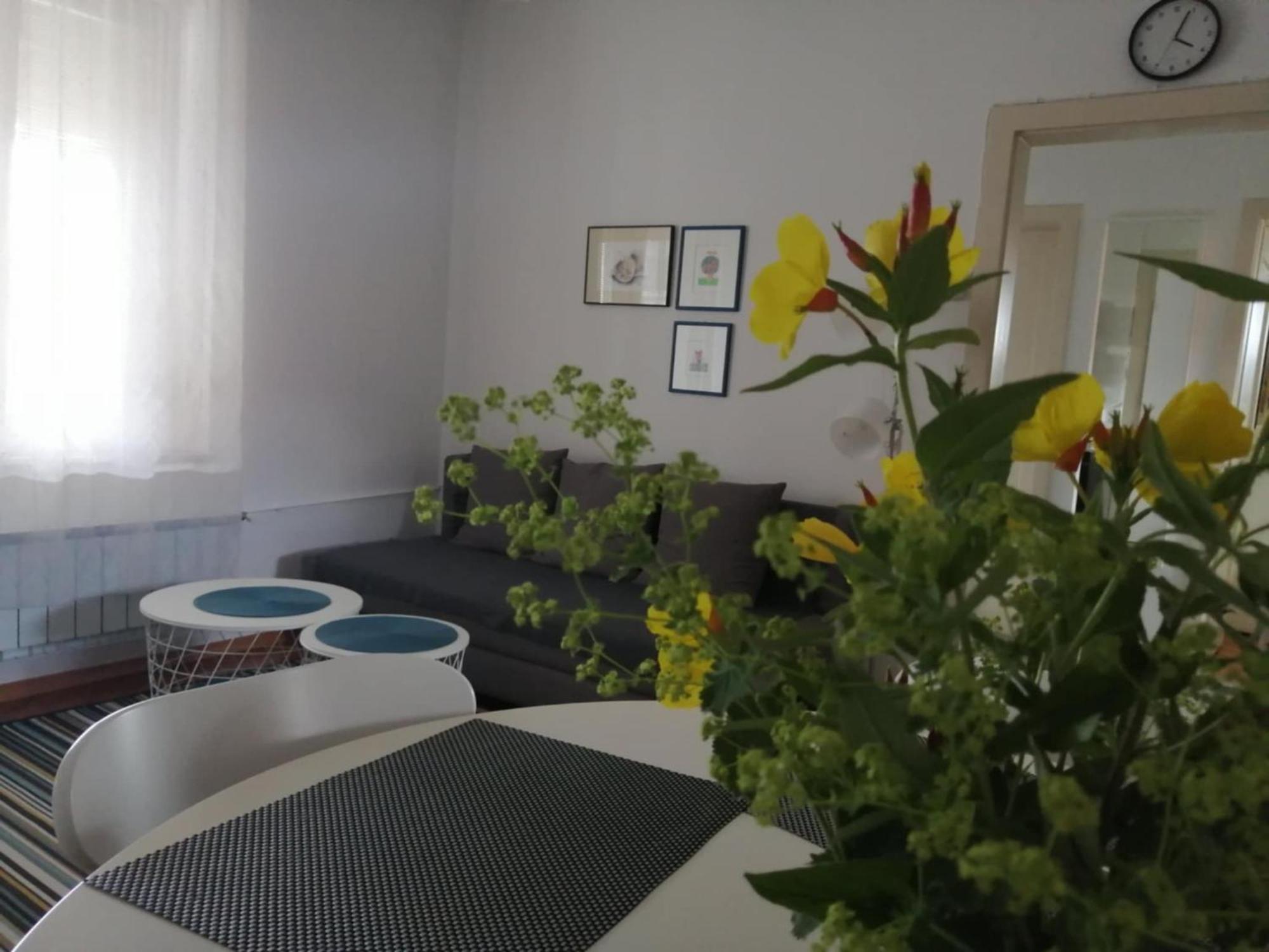 Guest house Center Blue Sky House Postojna
